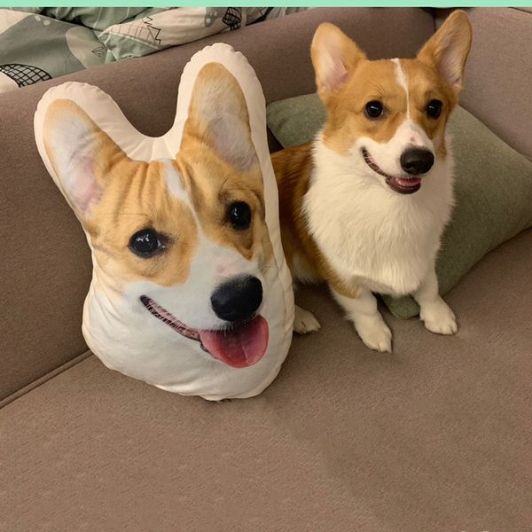 Custom Pet Photo Pillow Pet Head Shape Pillow Dog Face PIllow