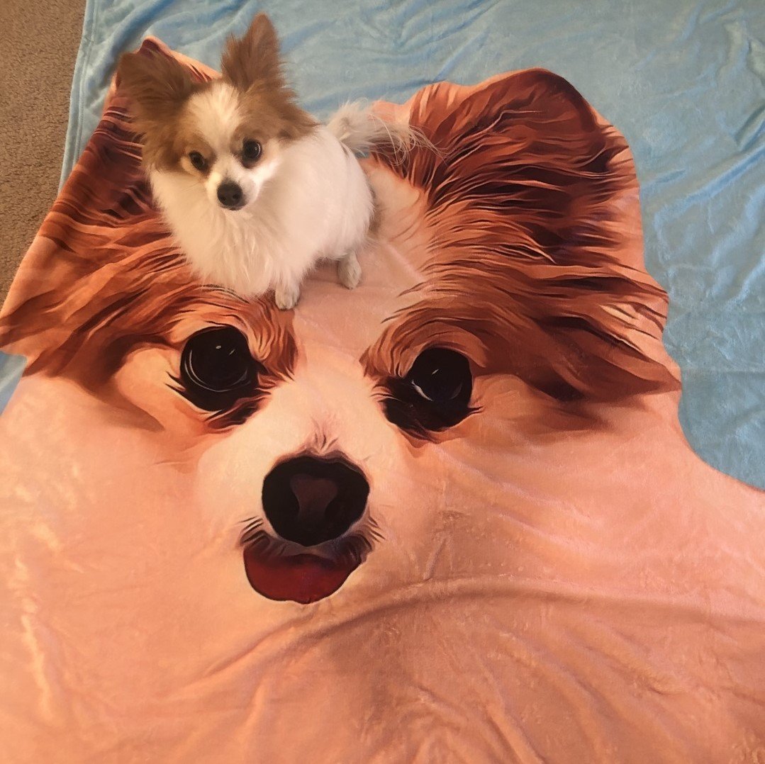 Custom Dog Fleece Blankets Personalized Pet Photo Blankets Painted Art Portrait Blanket Best Gift Pet Portrait Blanket of Cute Little Dog
