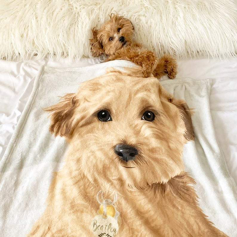Dog Blanket Custom Dog Photo Blanket Printed Pets Blanket Gifts for Dog Lovers Dog On Blanket Staring at You